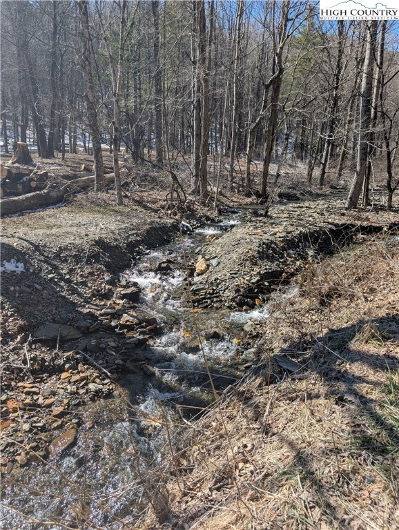 435 Edwards Road West Jefferson, NC 28694 - Photo 2 of 23