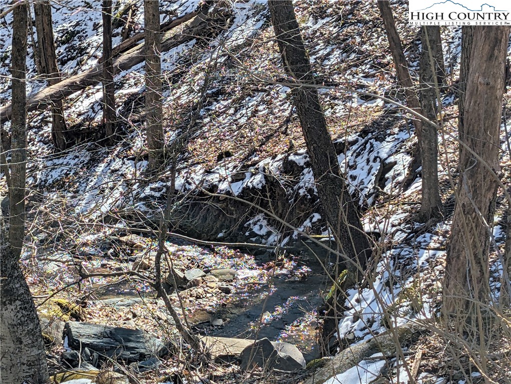 435 Edwards Road West Jefferson, NC 28694 - Photo 6 of 23