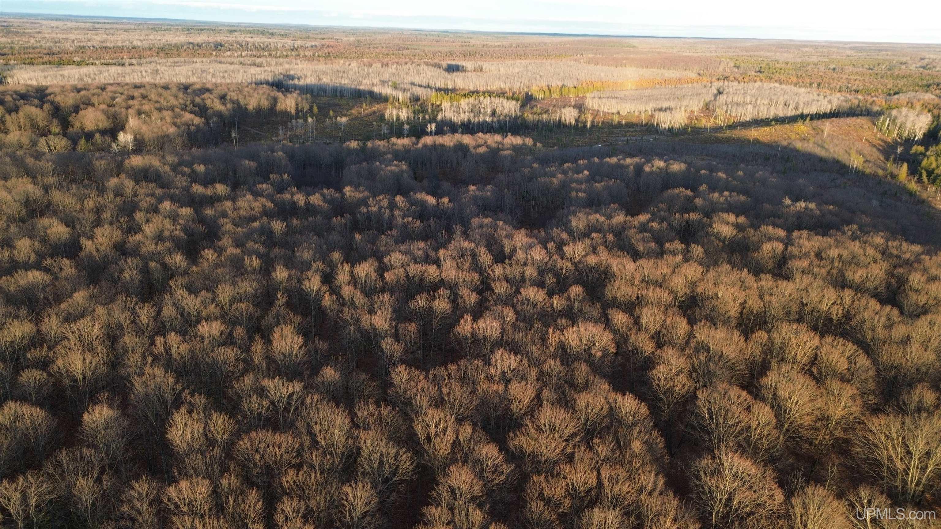 M26 M 5 Road Felch, MI 49831 - Photo 11 of 12