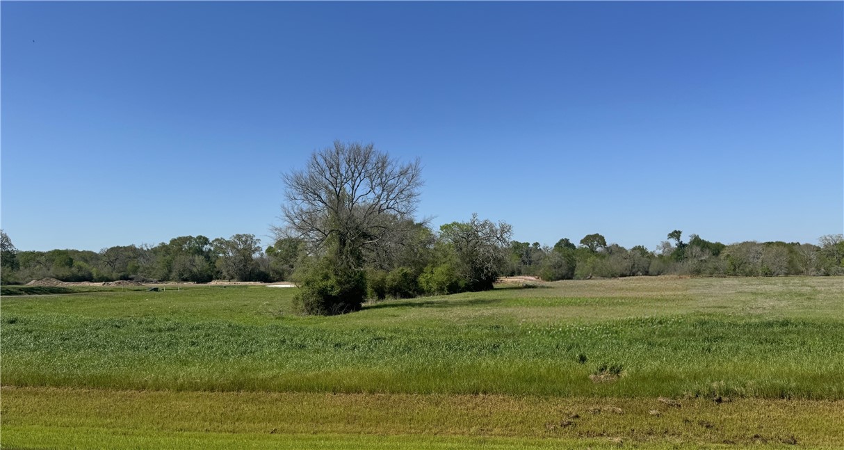 a view of a grassy field with trees