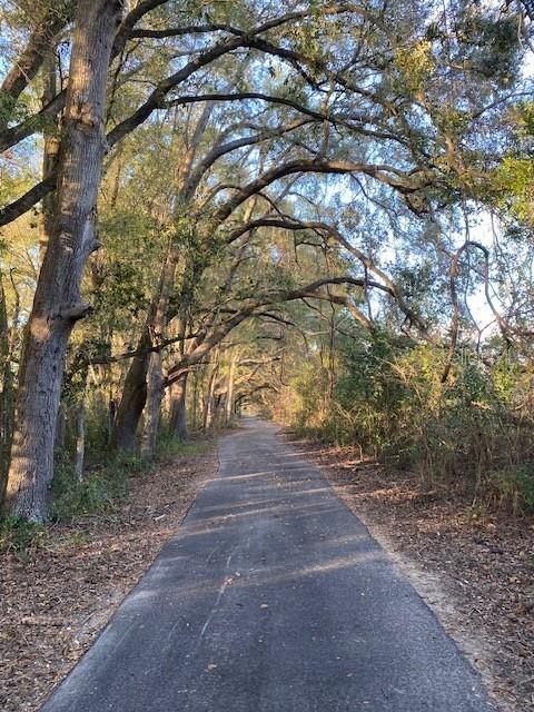 2004 Southwest 188th Street Newberry, FL 32669 - Photo 12 of 14 a view of backyard with green space