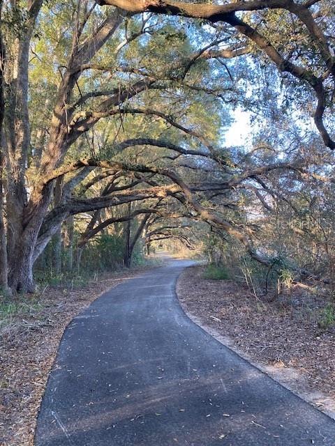 2004 Southwest 188th Street Newberry, FL 32669 - Photo 13 of 14 a view of an outdoor space