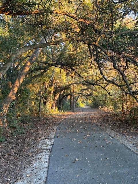 2004 Southwest 188th Street Newberry, FL 32669 - Photo 14 of 14 a view of a yard with a tree