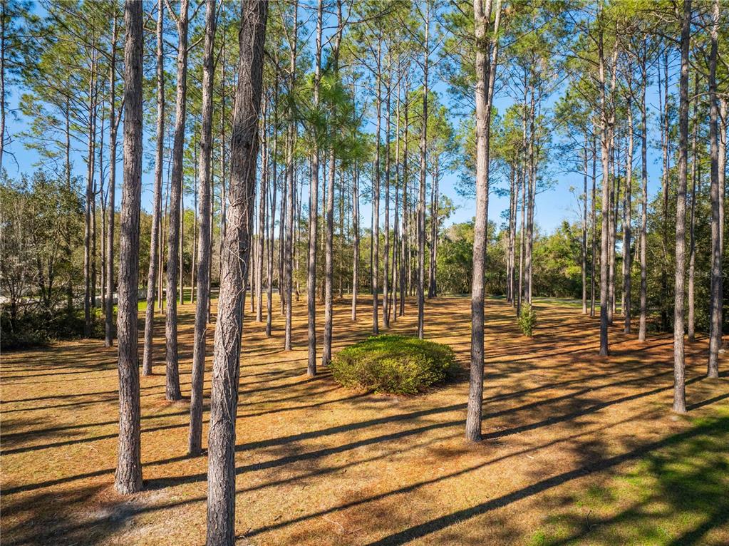 2004 Southwest 188th Street Newberry, FL 32669 - Photo 4 of 14