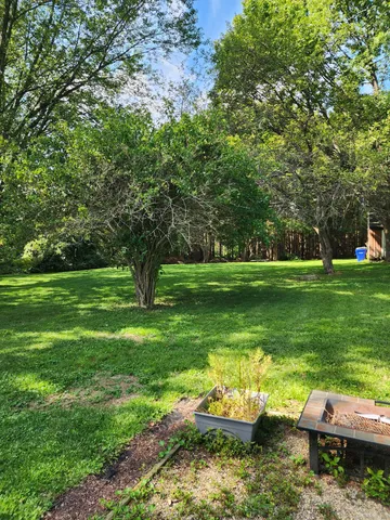 a view of a garden with lawn chairs