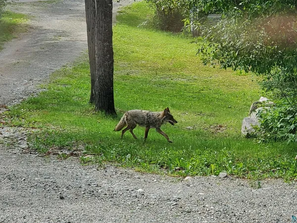 $470,000 | 13462 Villa Road, Ely, MN 55731