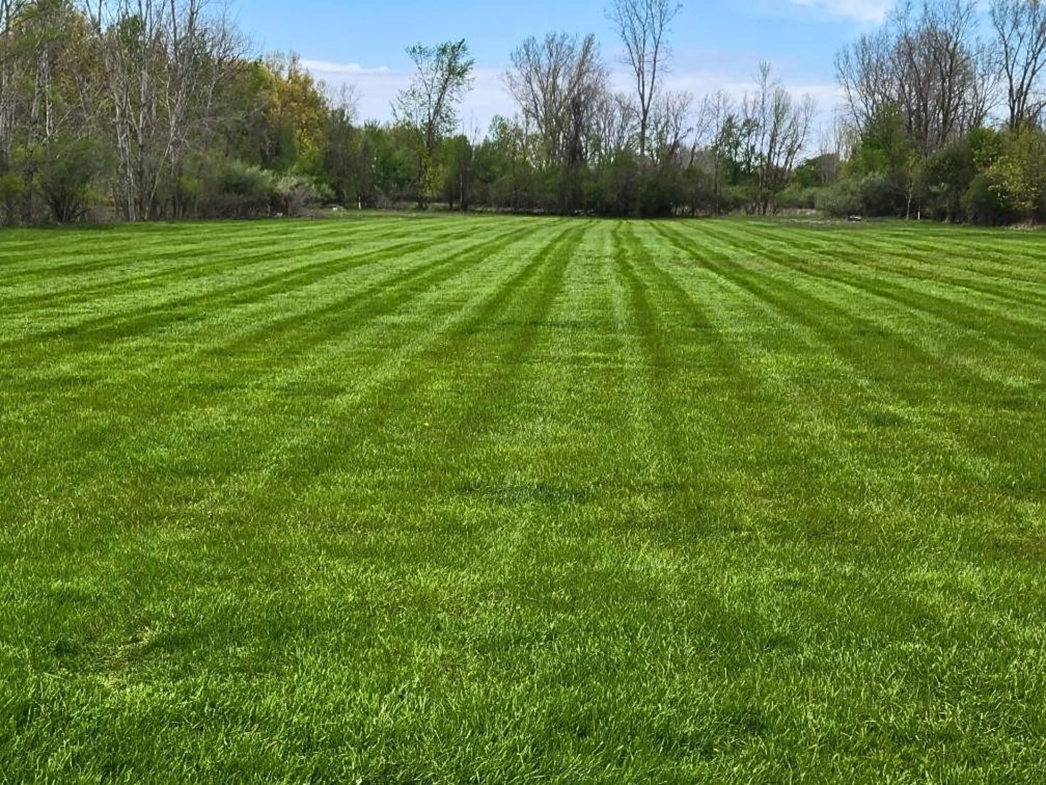 6314 Trinklein Road Saginaw, MI 48609 - Photo 2 of 3