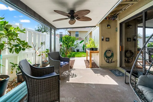 a living room with furniture a window and a potted plant