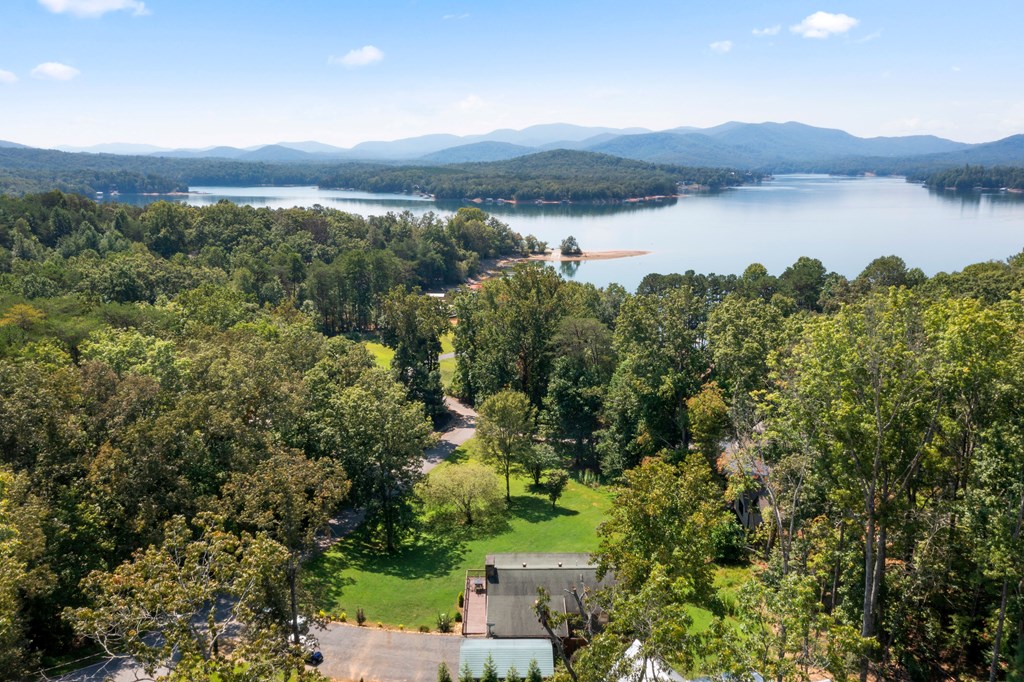 568 Prince Drive Morganton, GA 30560 - Photo 29 of 30 a view of lake and mountain