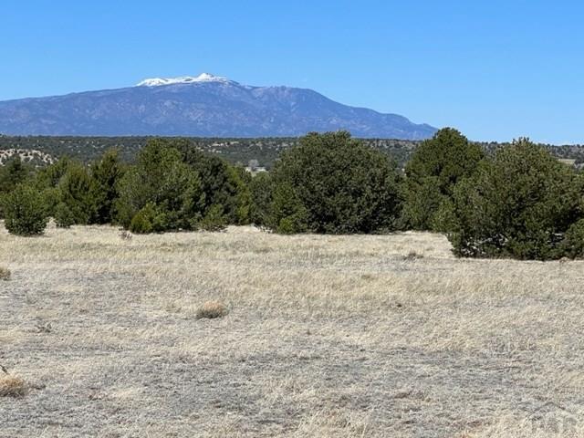 23 River Ridge Trail Walsenburg, CO 81089 - Photo 8 of 18 Gallery Image 8