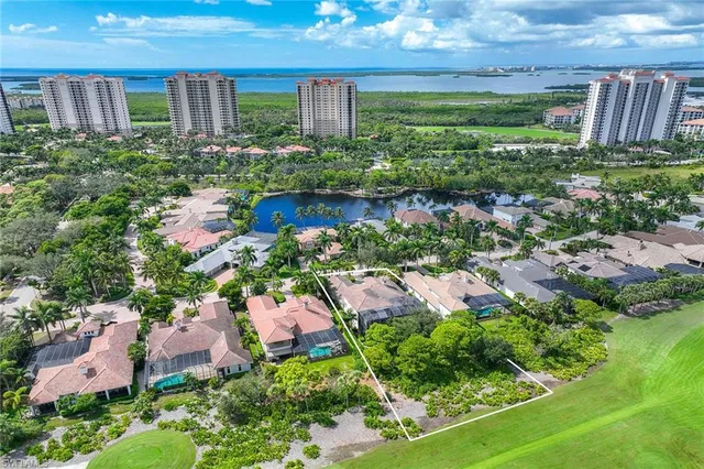 a view of a garden with plants and large trees