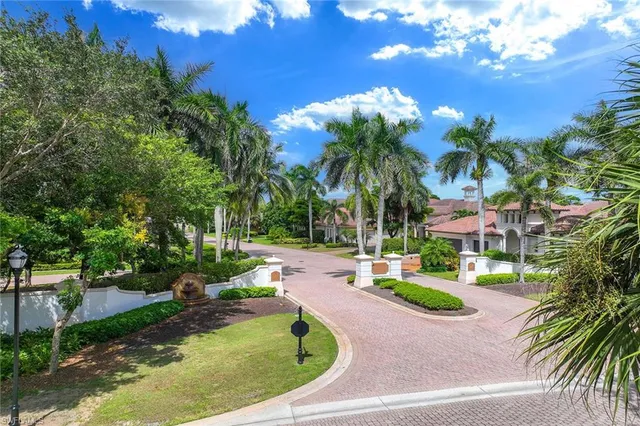 a view of a park with a large trees and plants
