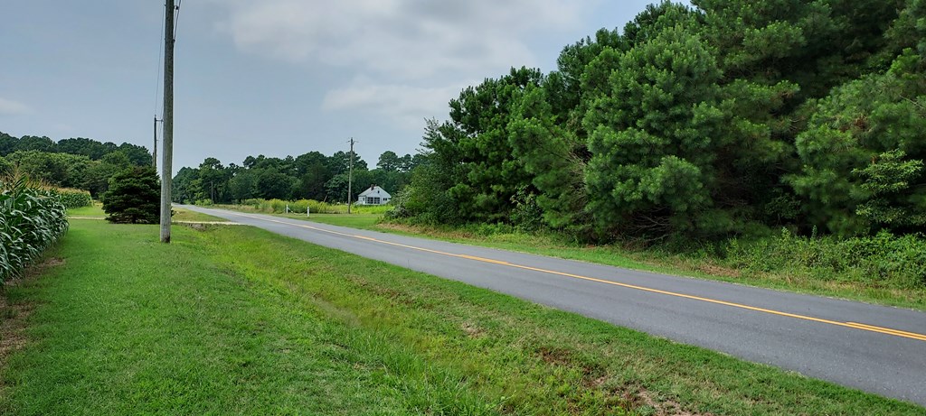 Lot 7 Bradfords Neck Road, Unit 7 Melfa, VA 23410 - Photo 4 of 5