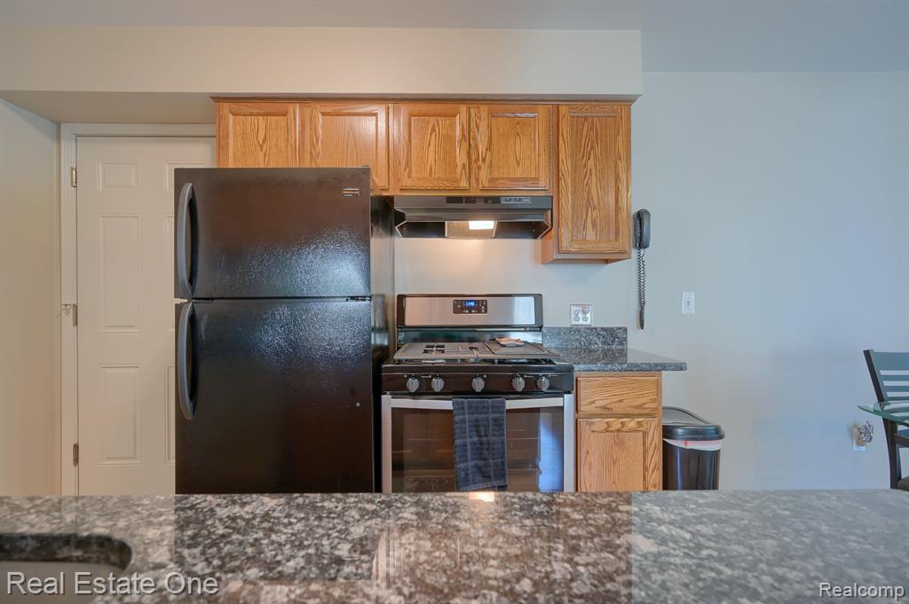 284 1st Street Rochester, MI 48307 - Photo 6 of 29