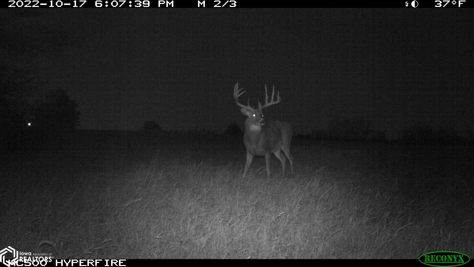 26845 County Road R52 Leon, IA 50144 - Photo 51 of 92 Gallery Image 51