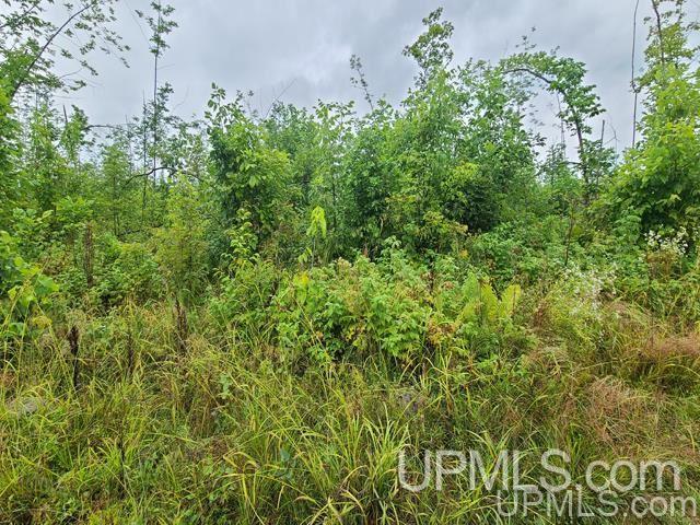 Tbd Bates-Amasa Road Iron River, MI 49935 - Photo 10 of 12
