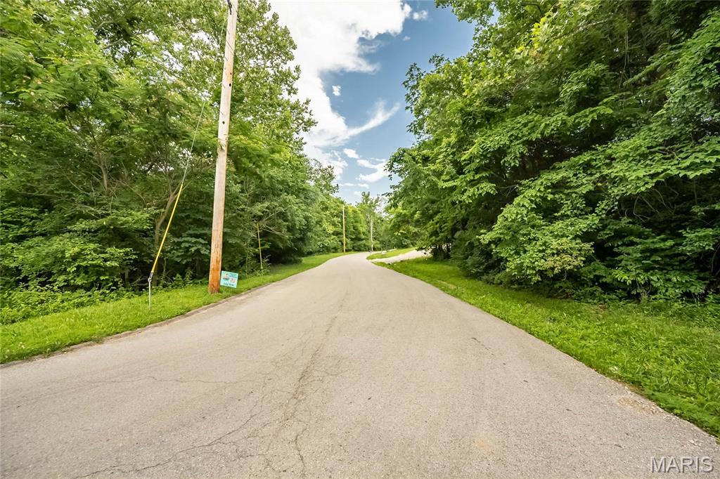 0 Watson Road Festus, MO 63028 - Photo 11 of 17