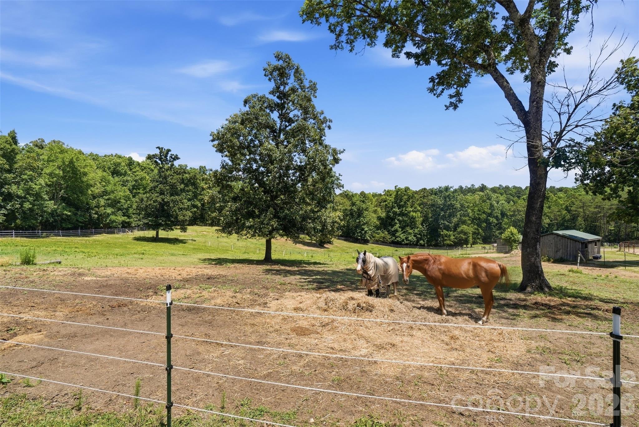 5835 Kreps Road Clover, SC 29710 - Photo 17 of 46