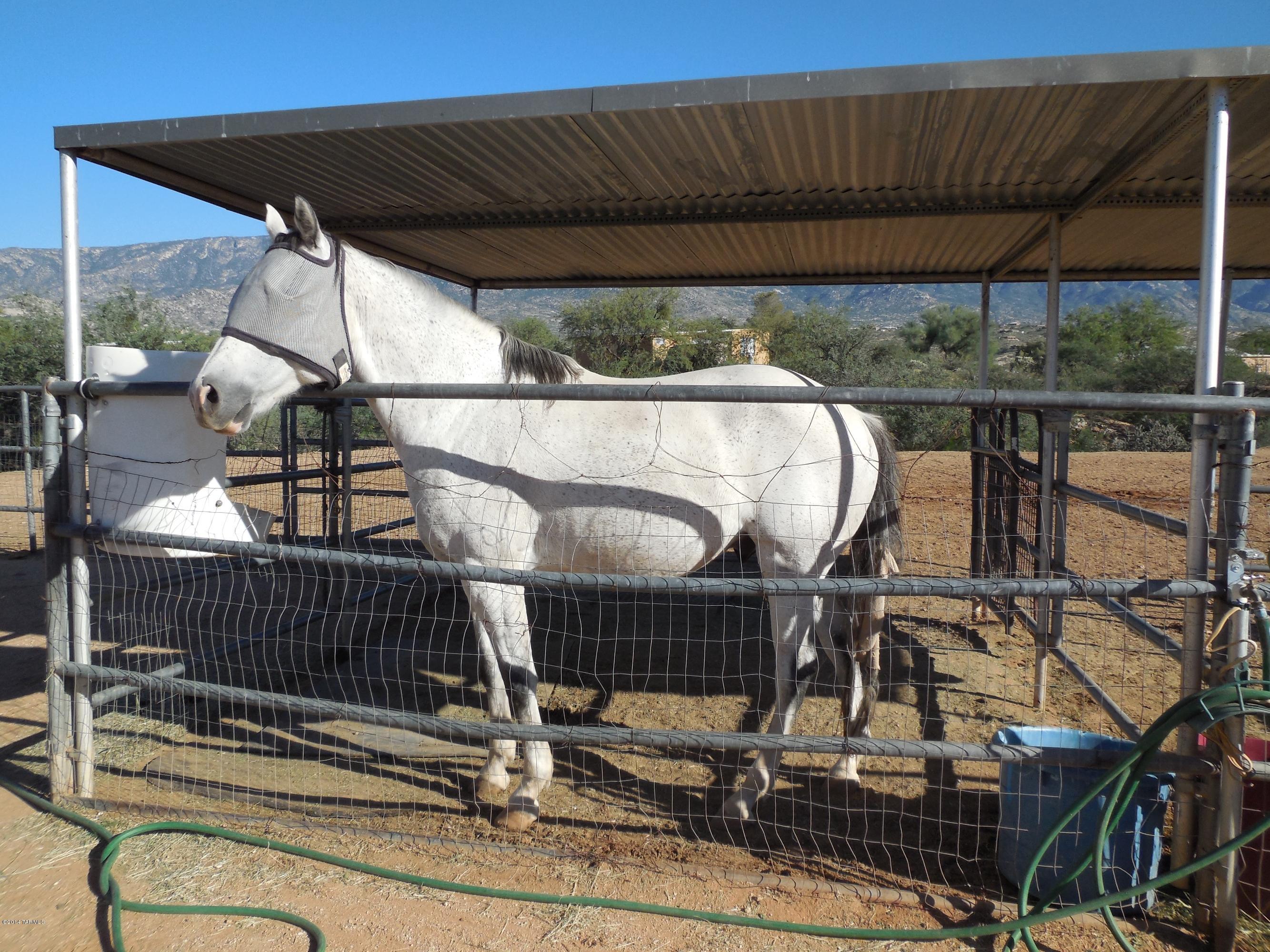 16240 North Meadowcrest Road Tucson, AZ 85739 - Photo 18 of 36 Gallery Image 18