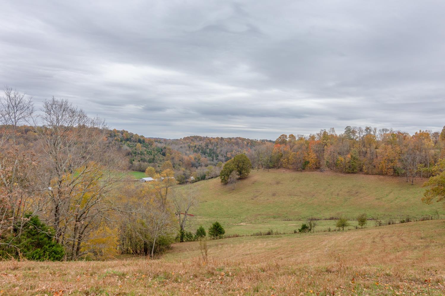 253 Chicken Creek Road Frankewing, TN 38459 - Photo 11 of 20 Gallery Image 11