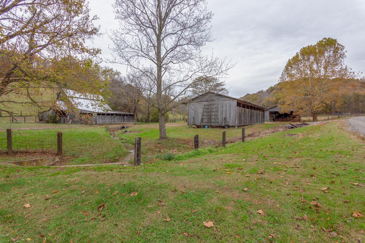 253 Chicken Creek Road Frankewing, TN 38459 - Photo 3 of 20 Gallery Image 3