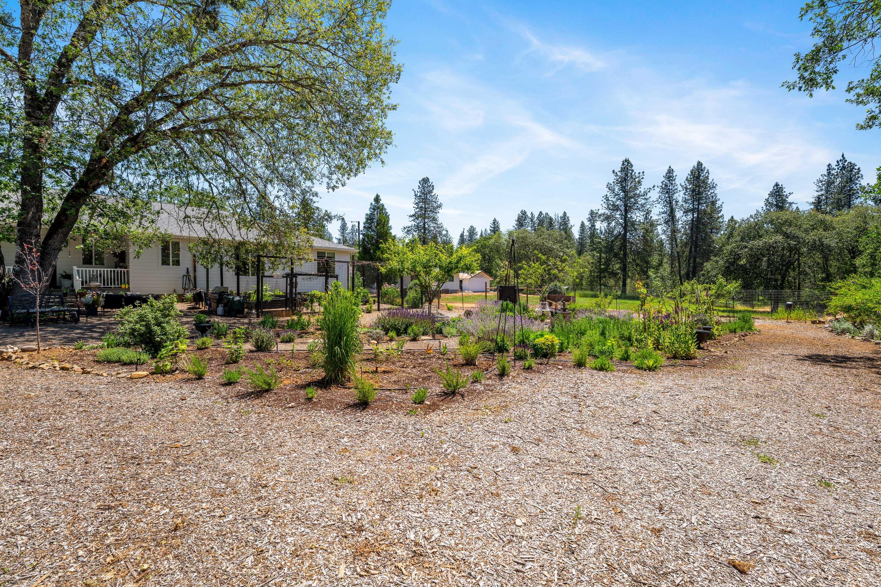 3151 Camp Joy Road Grants Pass, OR 97526 - Photo 49 of 63 13-EXT (6 of 23)