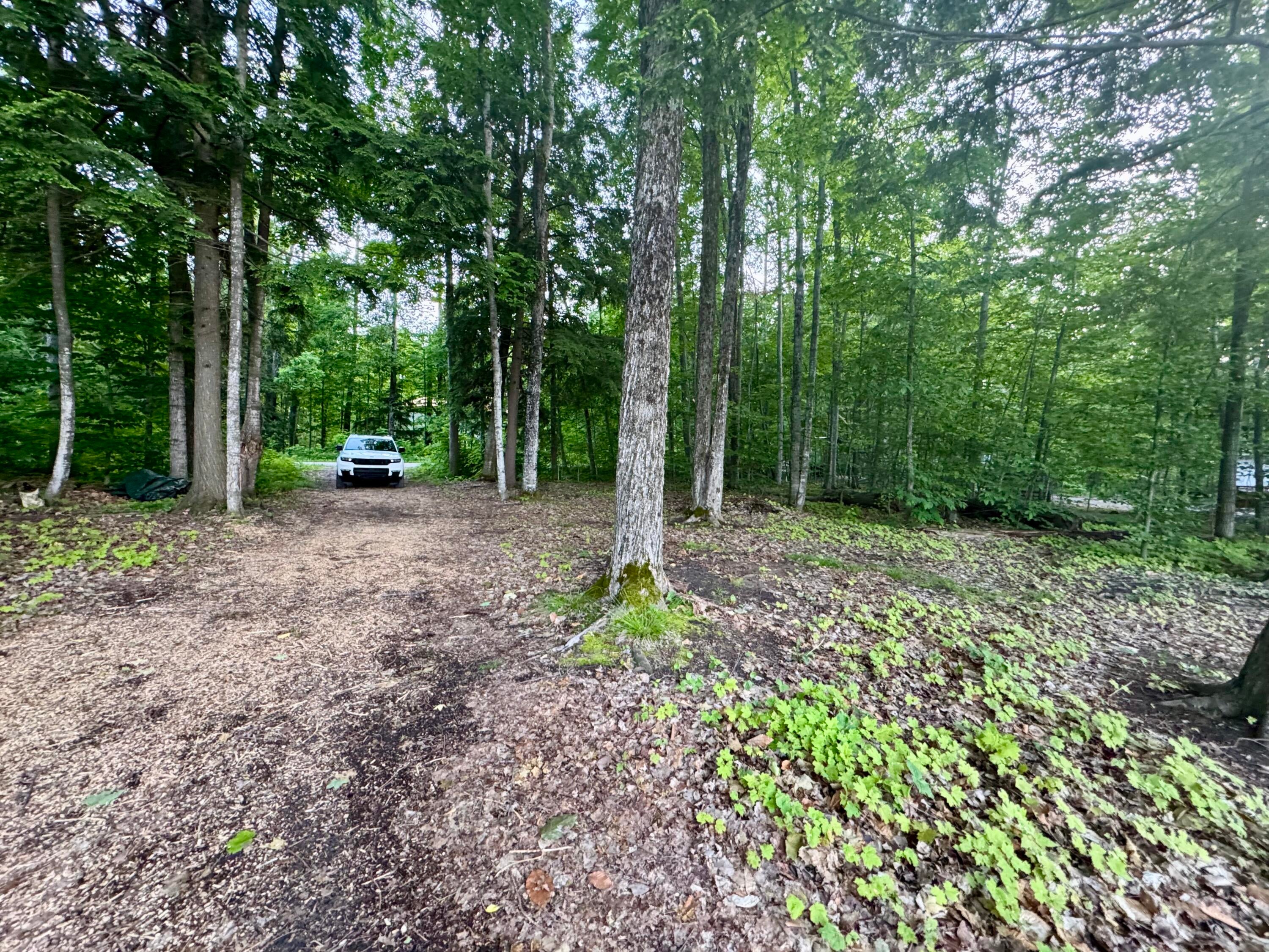 3206 Hidden Ridge Road Alanson, MI 49706 - Photo 27 of 33 Gallery Image 27