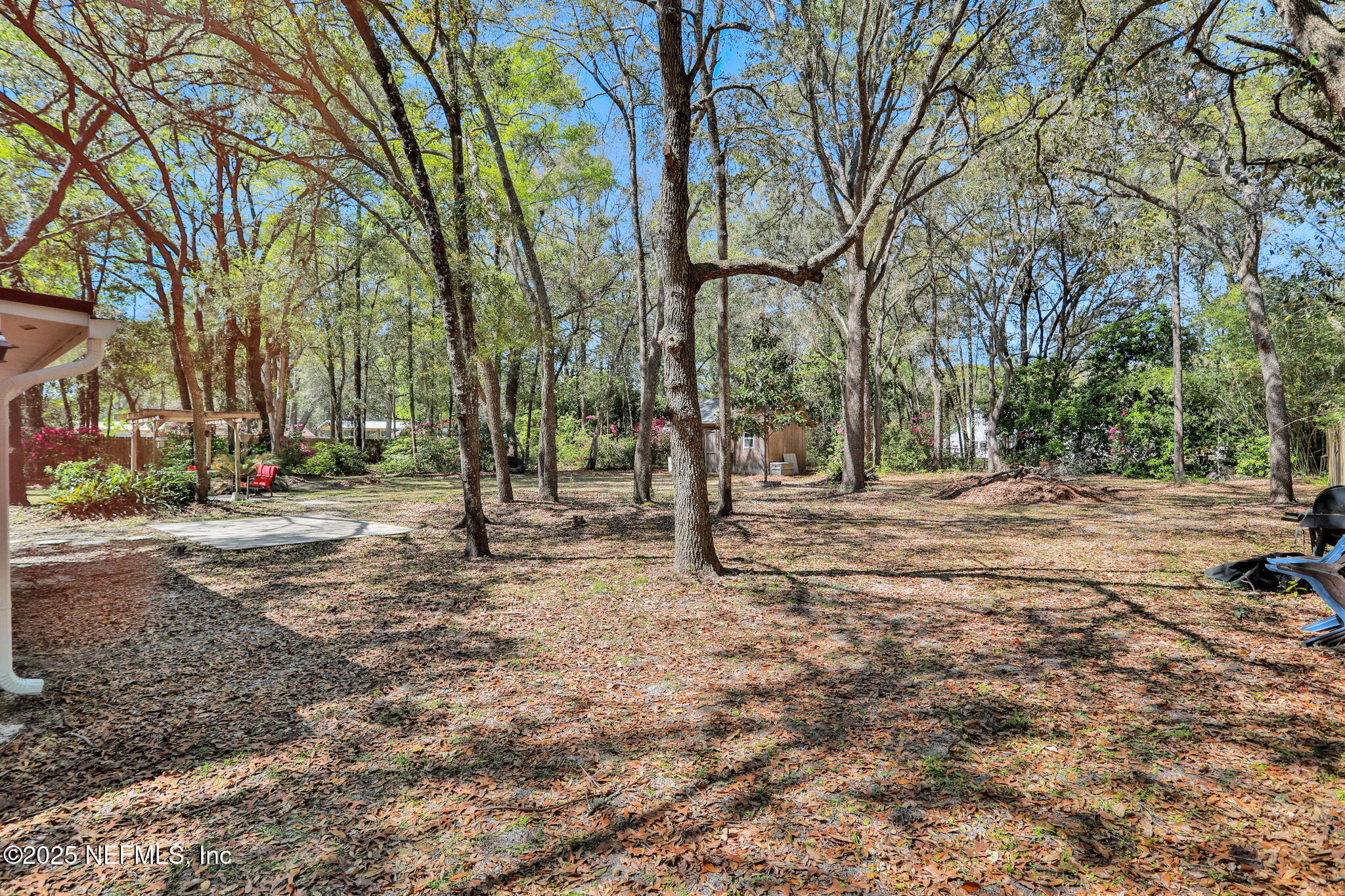 4268 Chokeberry Road Middleburg, FL 32068 - Photo 25 of 31 Backyard