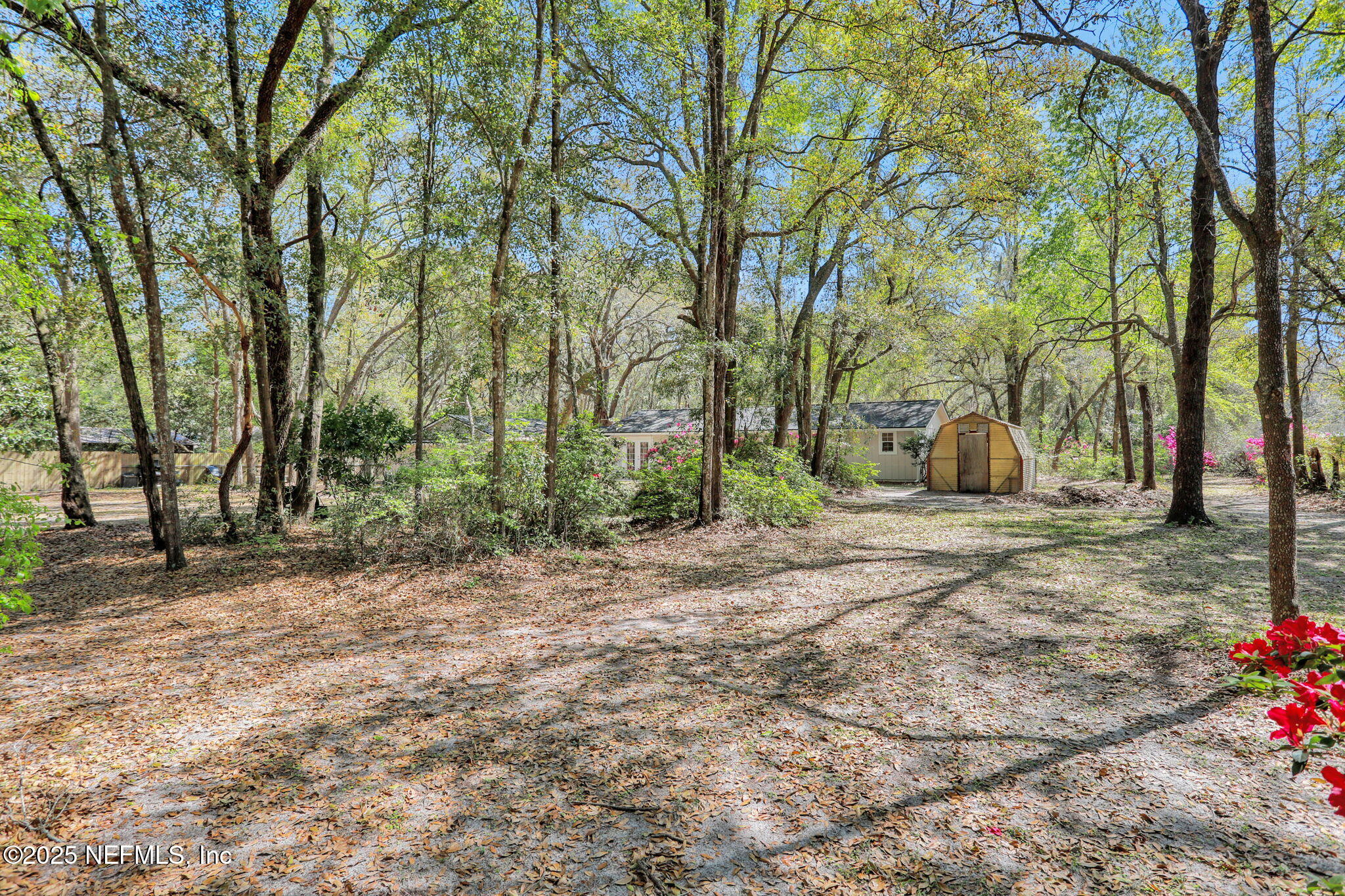 4268 Chokeberry Road Middleburg, FL 32068 - Photo 29 of 31 Backyard