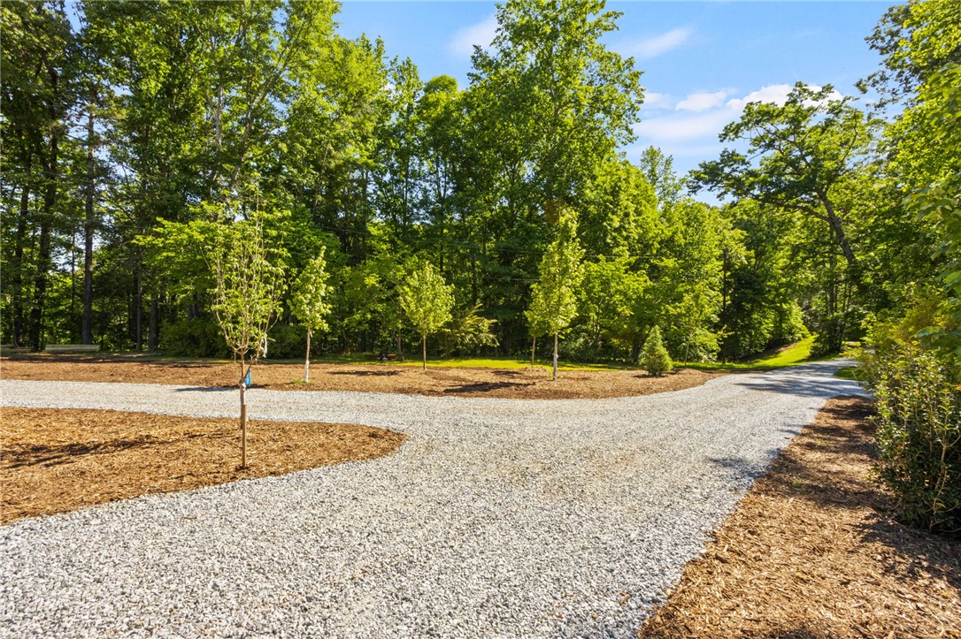 Lot 2 Johnson Drive Sunset, SC 29685 - Photo 15 of 22