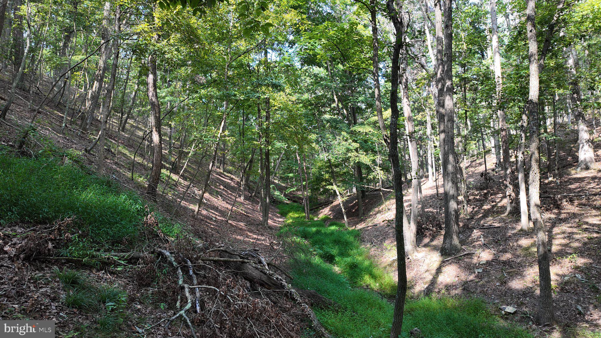 29-acres 29-acres Gaither Road Great Cacapon, WV 25422 - Photo 36 of 45 Gallery Image 36