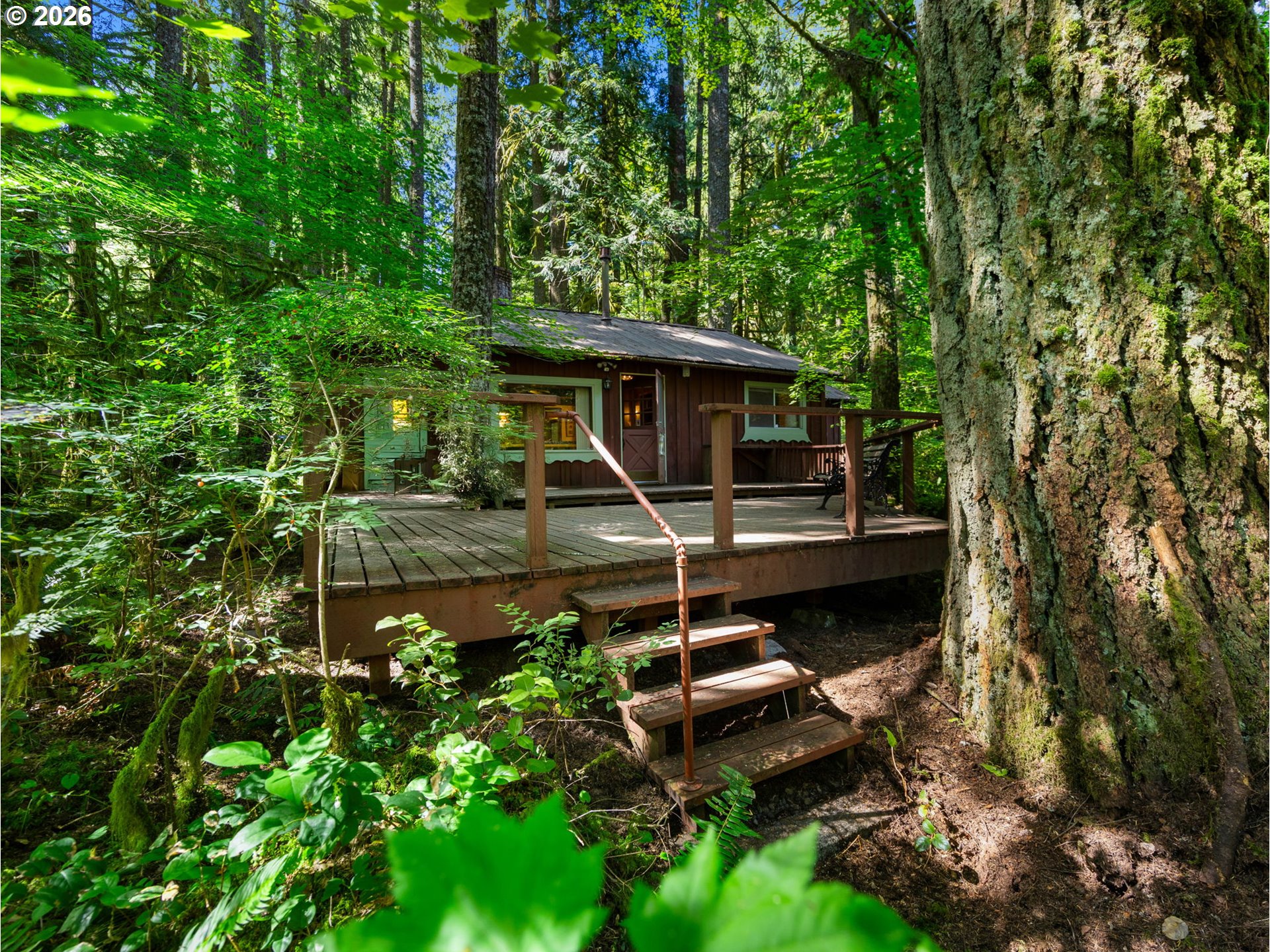 26811 East Road 15 Rhododendron, OR 97049 - Photo 29 of 47 a backyard of a house with lots of green space