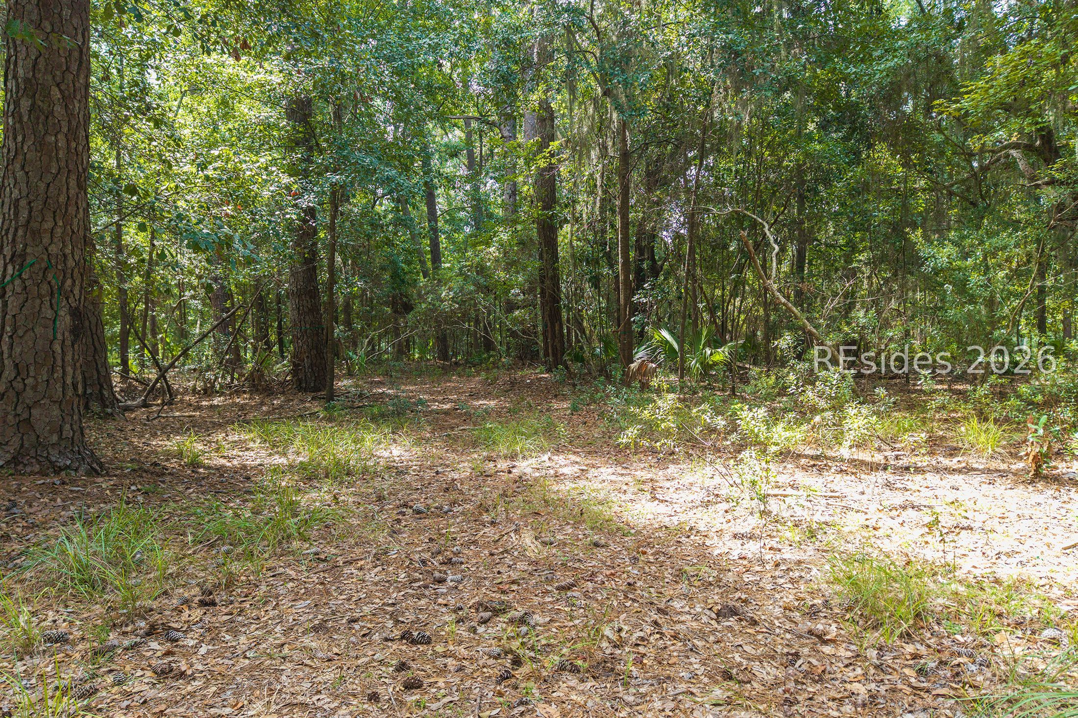 22 Smilax Vine Road Bluffton, SC 29910 - Photo 22 of 28 Gallery Image 22