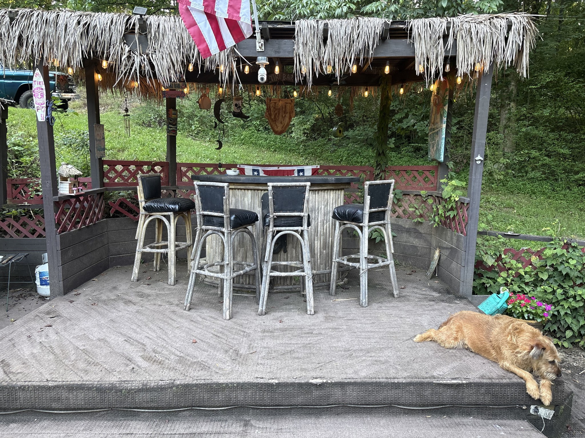 480 Hickman Shores Road Dover, TN 37058 - Photo 27 of 39 a view of a patio with table and chairs potted plants and large tree