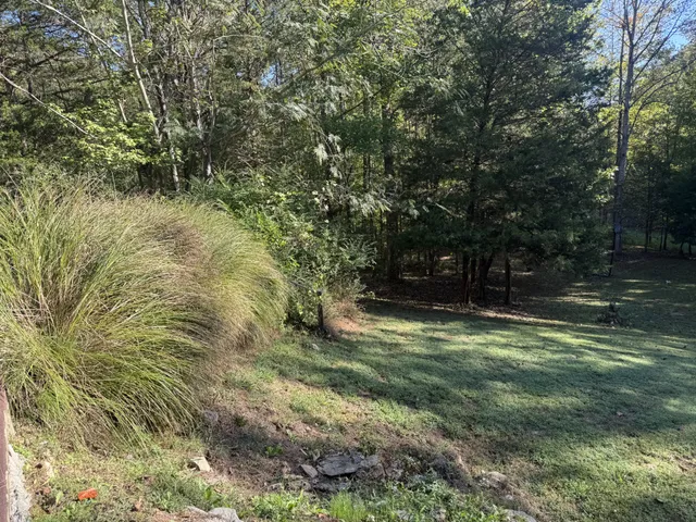 a backyard of a house with lots of green space