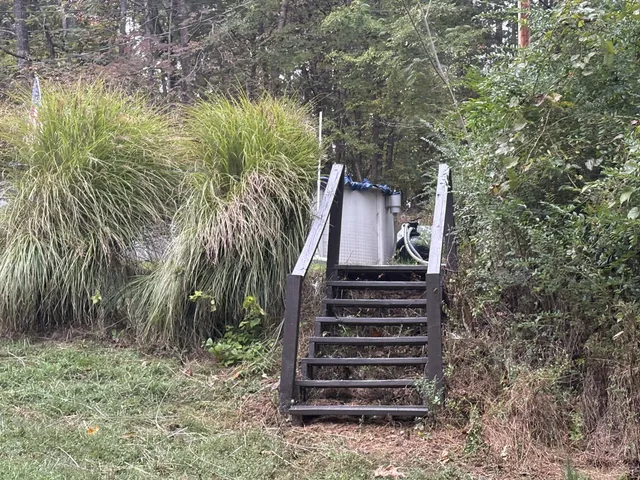 a view of a yard with plants and a trees