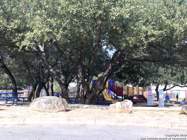 10118 Figaro San Antonio, TX 78260 - Photo 18 of 20 a view of street with a covered with tall trees