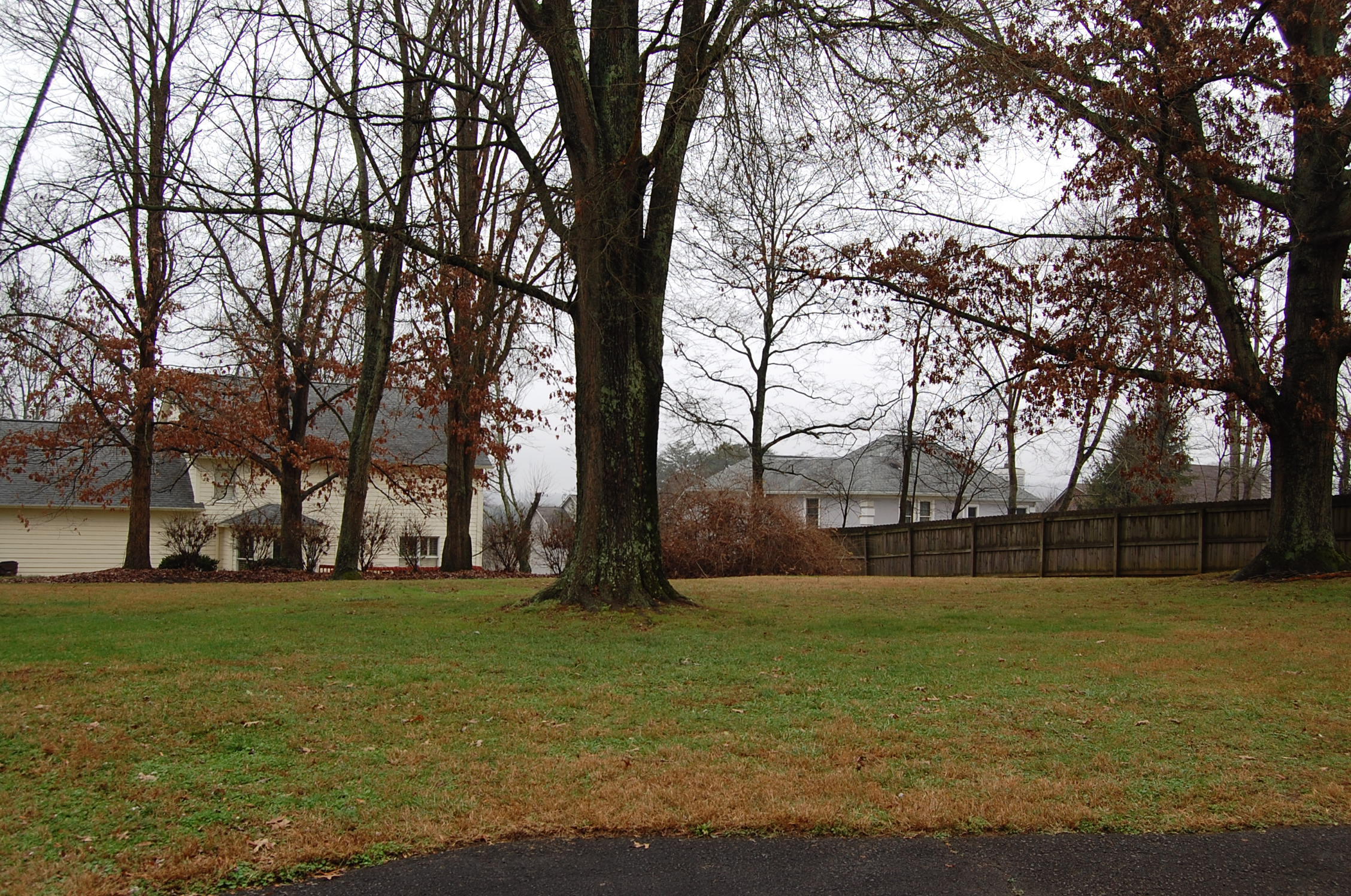 237 Peterson Road Knoxville, TN 37934 - Photo 18 of 29 Awesome Backyard