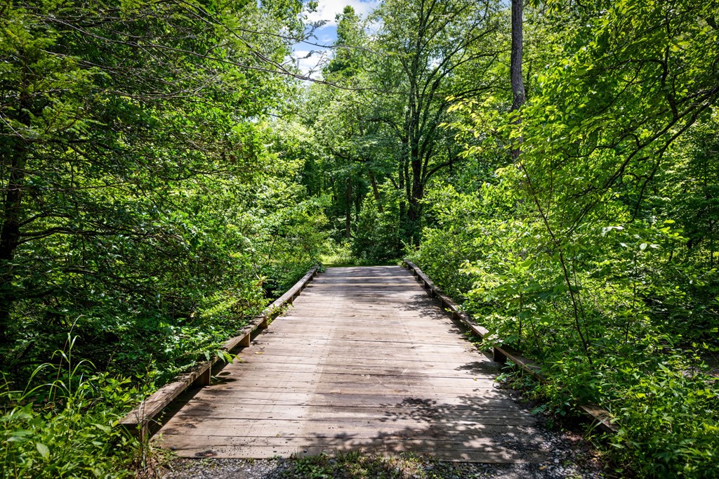 2977 Highway 2 Blue Ridge, GA 30513 - Photo 78 of 89