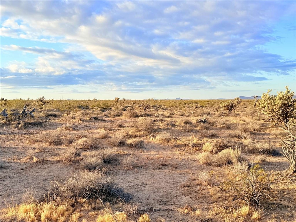 20030 South Billy The Kid Road Yucca, AZ 86438 - Photo 13 of 20