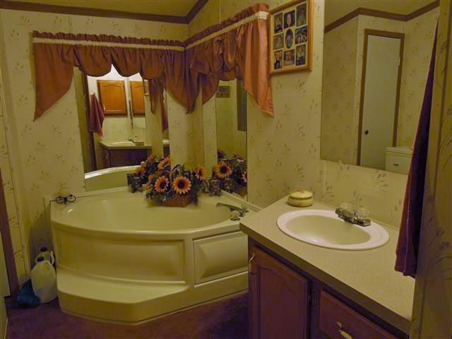 680 Edenway Road Dover, TN 37058 - Photo 18 of 20 Garden tub with separate step-in shower.
