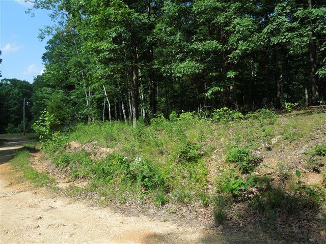 680 Edenway Road Dover, TN 37058 - Photo 8 of 20 Long road frontage.