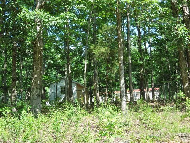 680 Edenway Road Dover, TN 37058 - Photo 10 of 20 View of home from the back road going by the property.