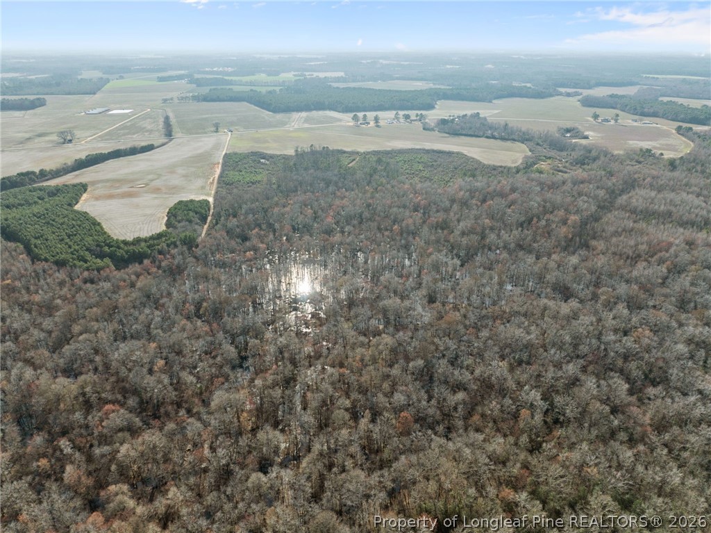 2876 Dunn Road Roseboro, NC 28382 - Photo 16 of 22 a view of beach and ocean