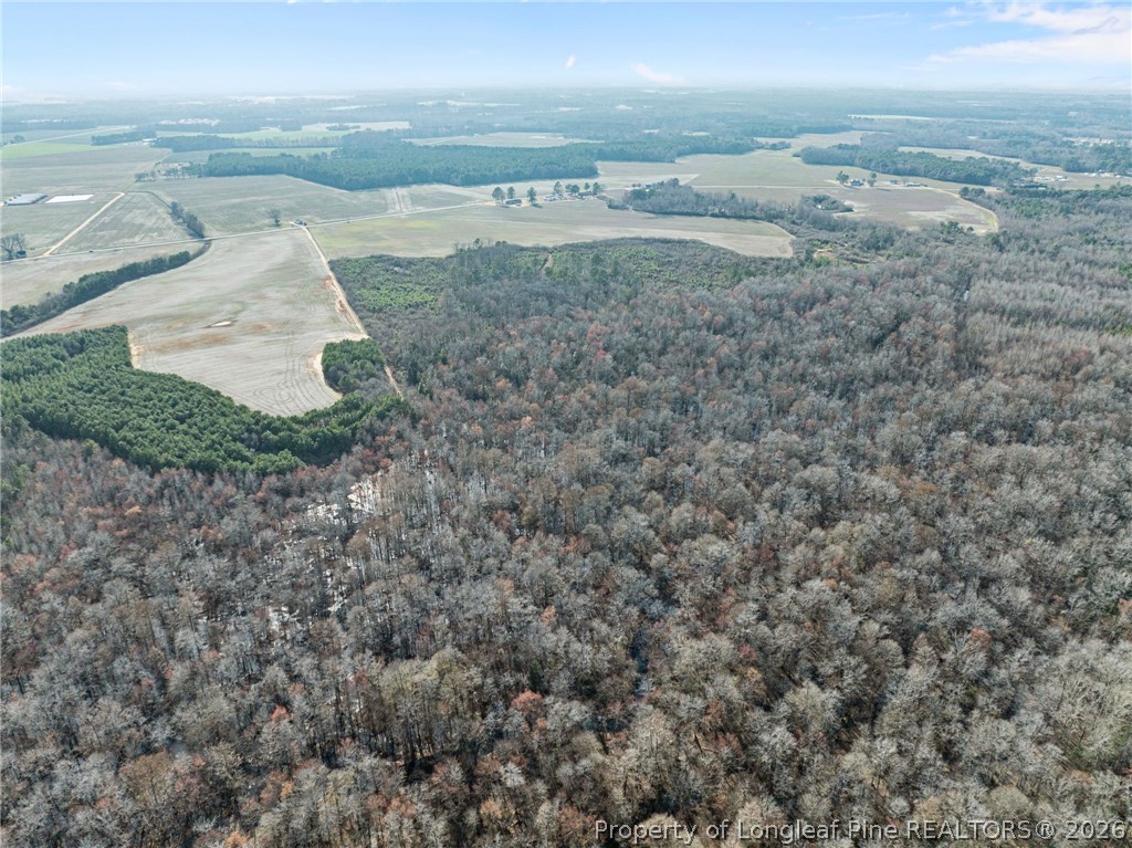 2876 Dunn Road Roseboro, NC 28382 - Photo 17 of 22 a view of beach and ocean