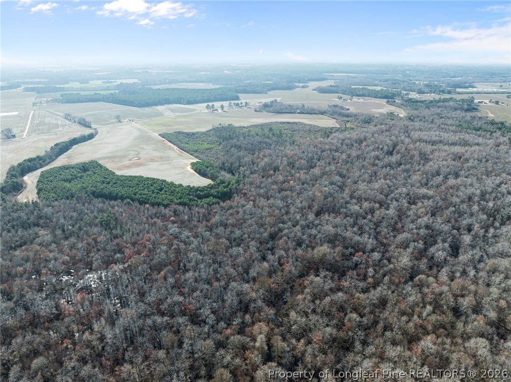 2876 Dunn Road Roseboro, NC 28382 - Photo 18 of 22 an aerial view of field with beach