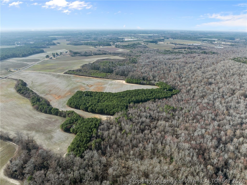 2876 Dunn Road Roseboro, NC 28382 - Photo 19 of 22 an aerial view of a beach