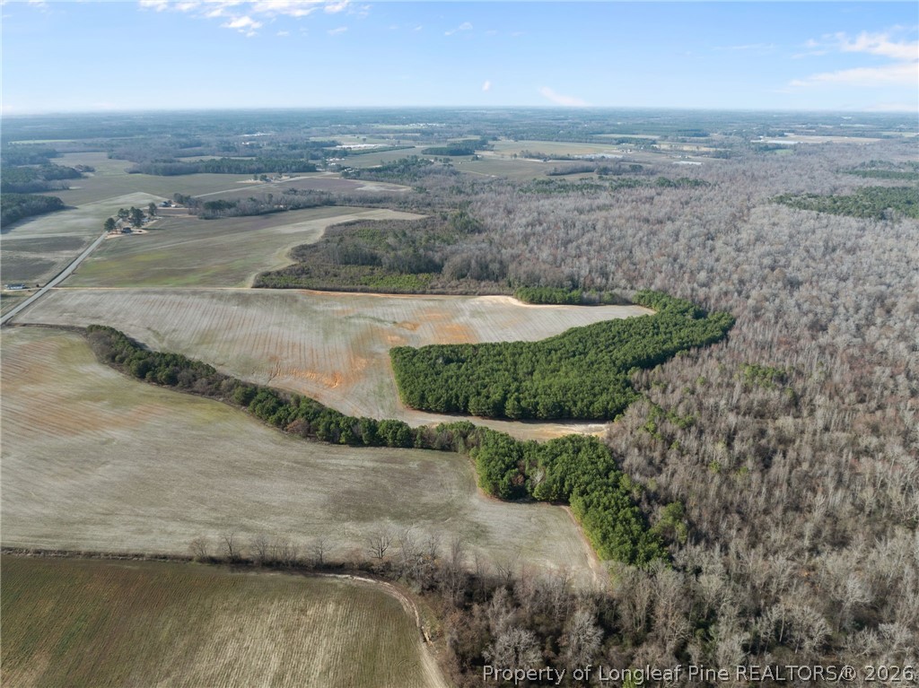 2876 Dunn Road Roseboro, NC 28382 - Photo 20 of 22 a view of outdoor space and mountain view