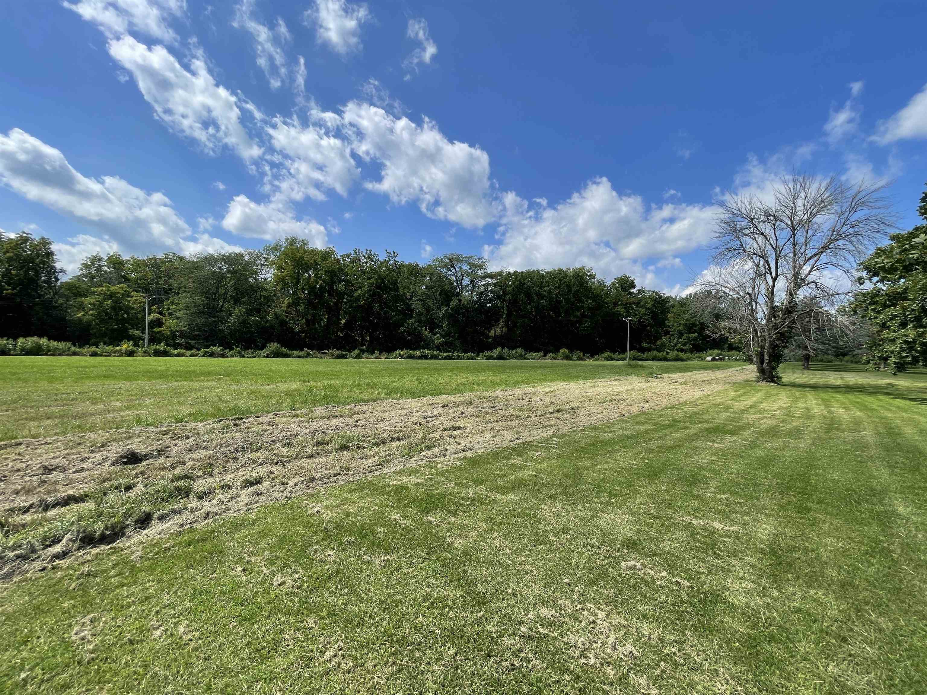 113 Creamery Road Thomson, IL 61285 - Photo 54 of 64 a view of a field with a big yard