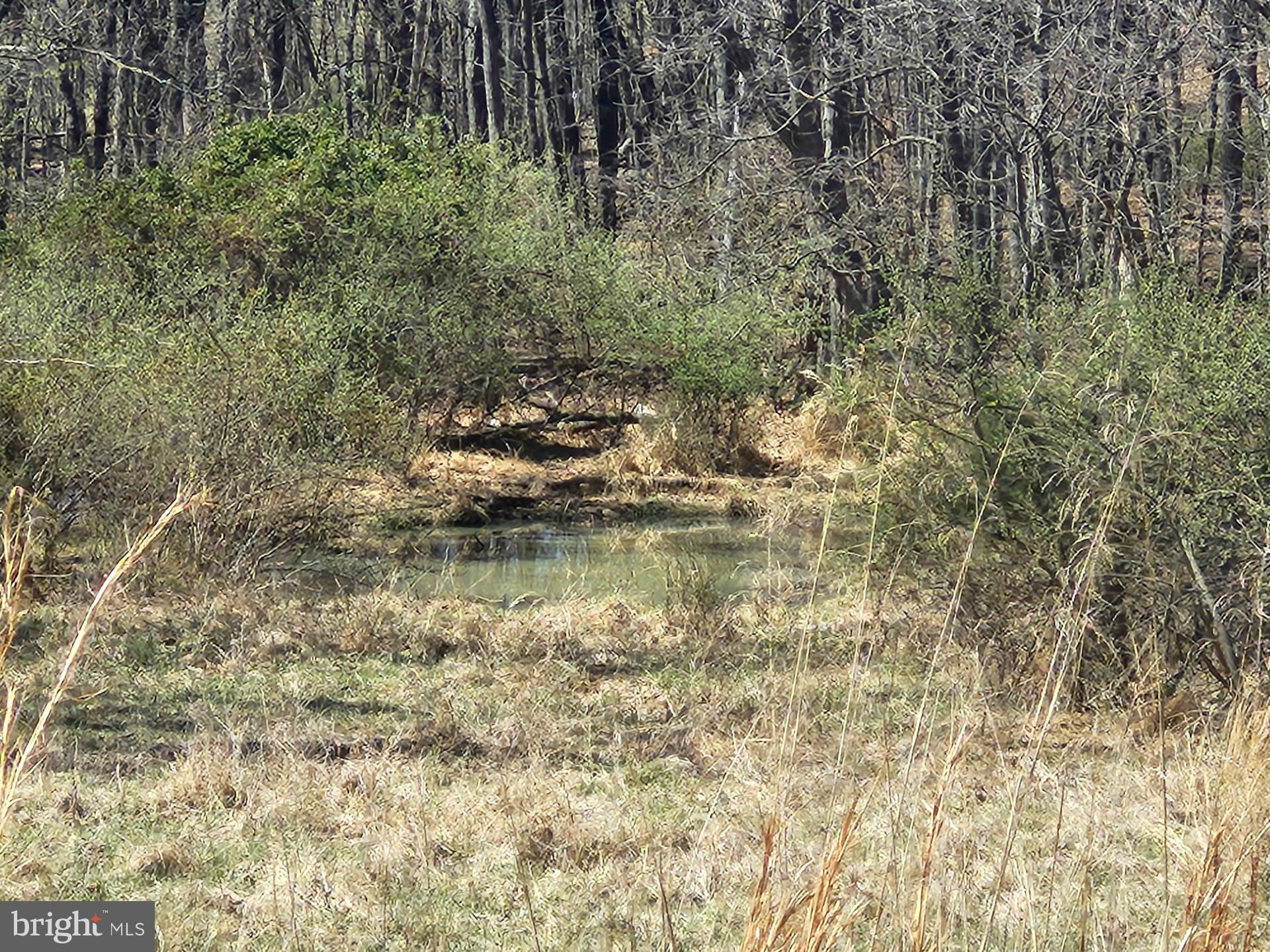 A J Kelley Road Old Fields, WV 26845 - Photo 4 of 65